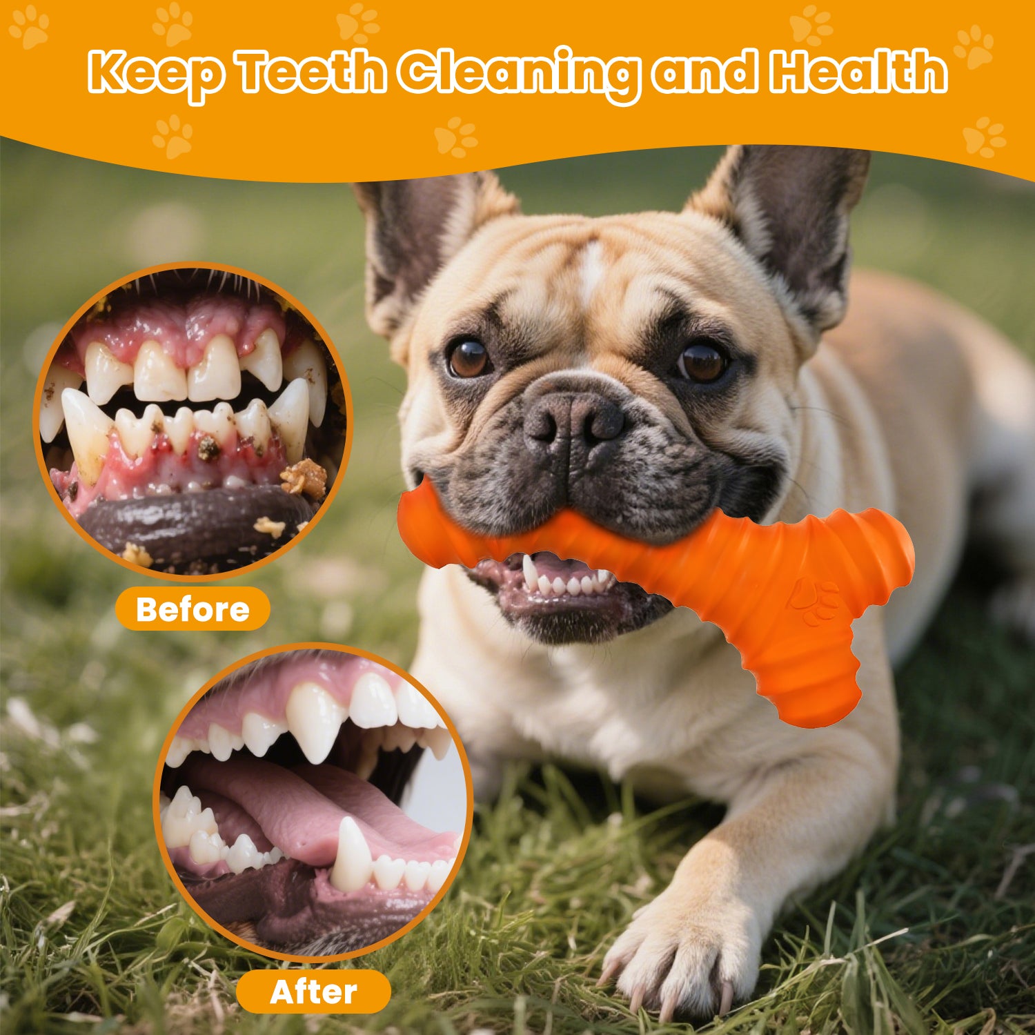 Rubber Bone, Dog Chew Toy for Aggressive Chewers with Squeaky, Durable Dog Toys for Large and Medium Breeds, Standing Stick Animal Puppy Fetch Interactive Play,6 In(1 Pack)