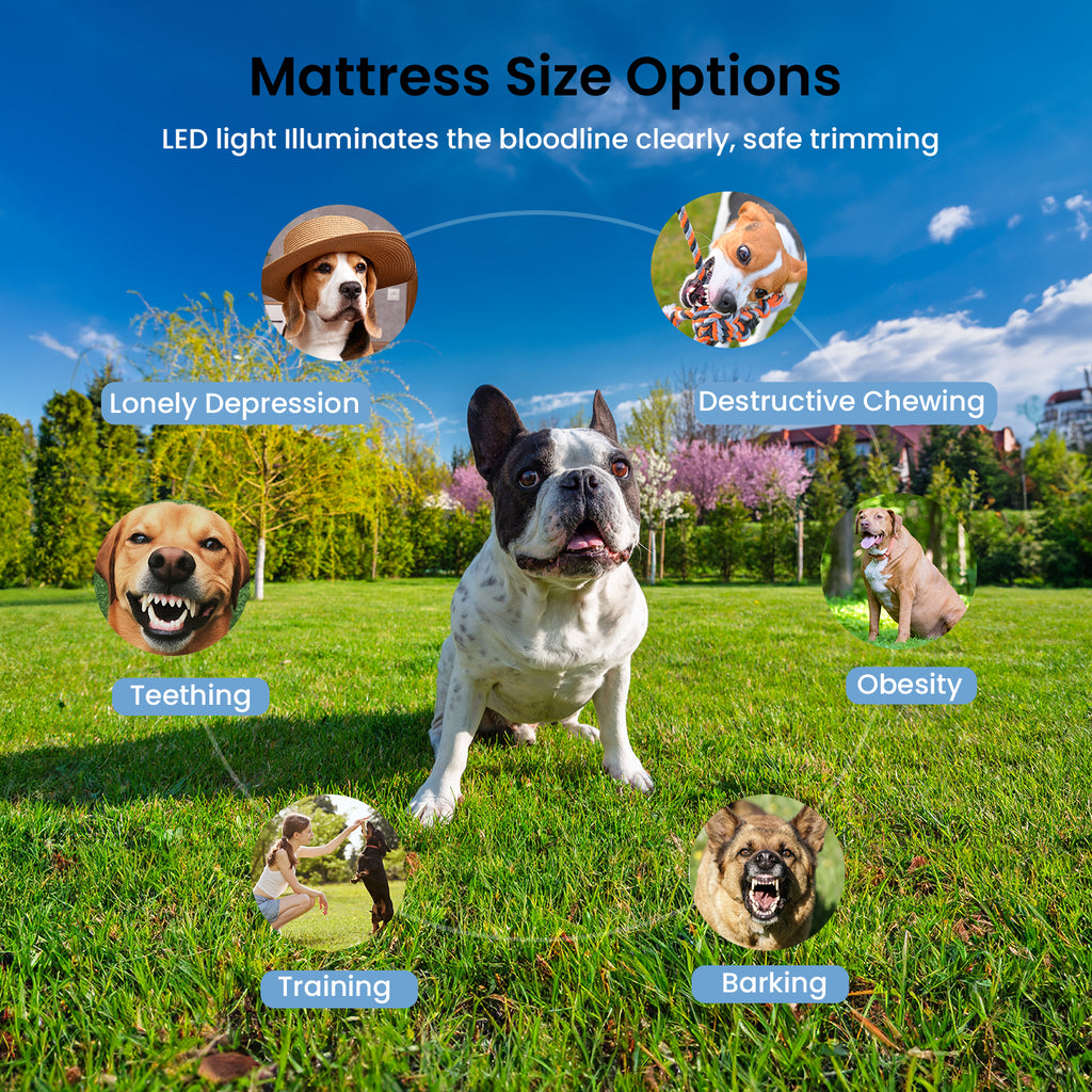 Squeaky Dog Toys , 6 pcs Funny Smile Emoji Doy Balls for Small Dogs, Soft Durable Non-Toxic Latex Chewable Toy Set, Pet Stress Relief Interactive Play