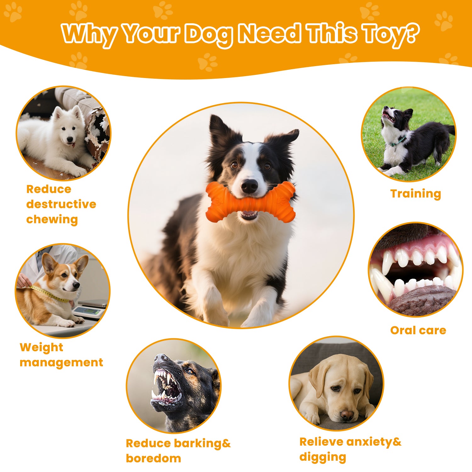 Rubber Bone, Dog Chew Toy for Aggressive Chewers with Squeaky, Durable Dog Toys for Large and Medium Breeds, Standing Stick Animal Puppy Fetch Interactive Play,6 In(1 Pack)