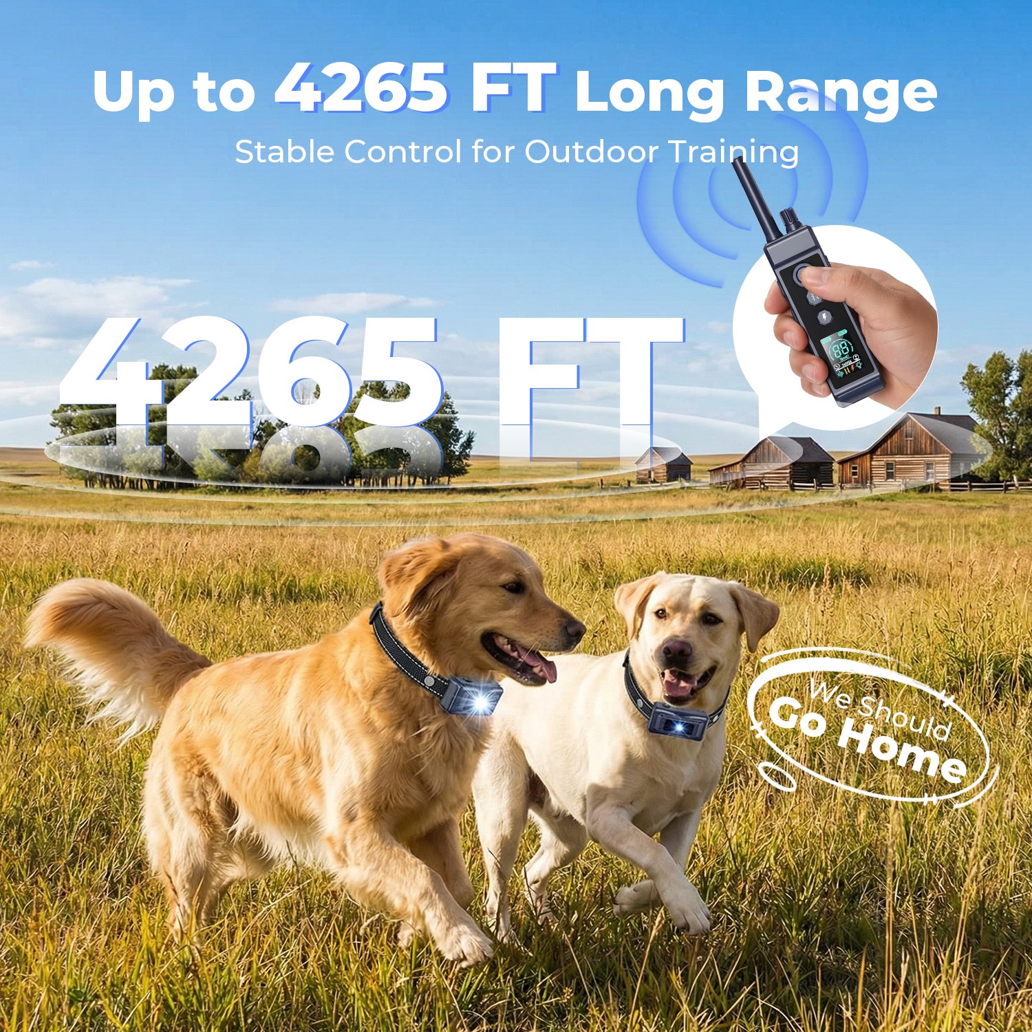Dog Training Collar with Remote, Up to 4265 ft Range, Beep (1-8), Vibration (1-16) & Safe Shock (1-99) Modes, Waterproof Collar with Flashing Light