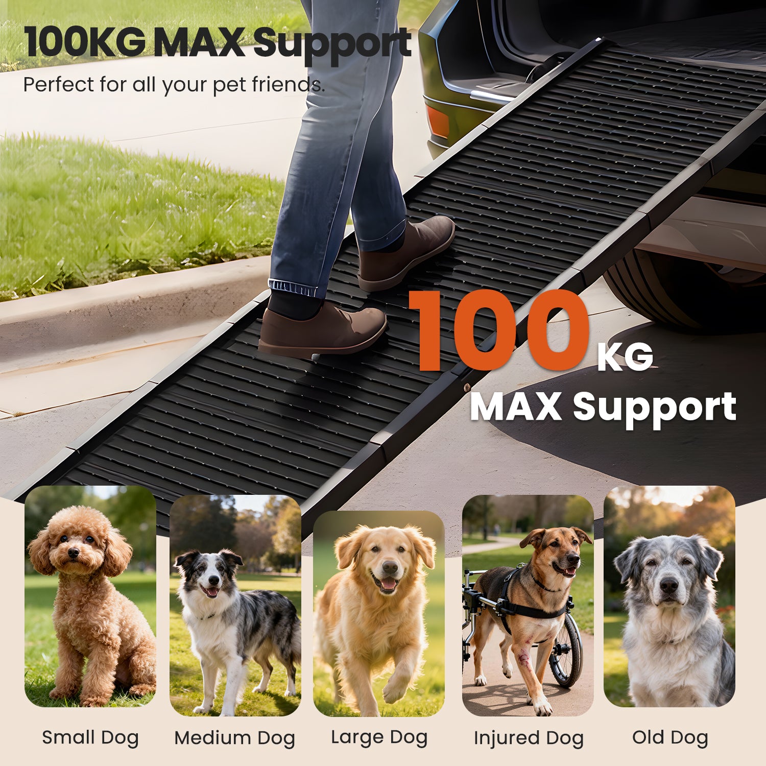67" Foldable Dog Ramp, 4-Fold Portable Pet Ramp Stairs for Car, SUV, and Truck, 220 lb Capacity, Non-Slip Surface Dog Ramps for Large Dogs