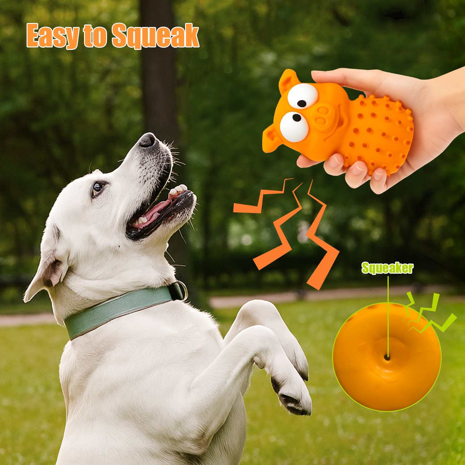 Latex Dog Toy for Aggressive Chewers,6.3 in Funny Pig & Dog Shaped Squeaky Chew Toys,Aggressive Chewers, Indoor & Outdoor Fetch Play,2-Pack