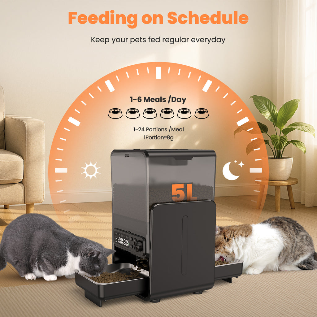 Automatic Cat Feeder for 2 Cats with 304 Stainless Steel Dual Bowls Timed Treat Dispenser Cat Dry Food Dispenser